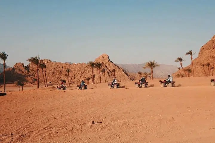 Sharm El Sheikh Desert Quad Safari with Stargazing and Dinner Show, photo 2