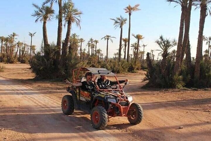 Buggy Safari in the Palmeraie, photo 3