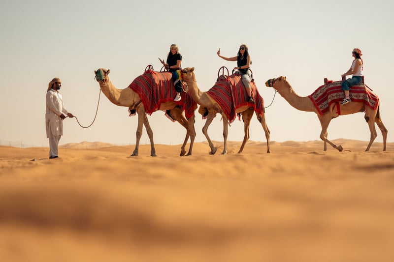 Premium VIP Evening Desert Safari with Falcon Experience in Dubai, photo 2