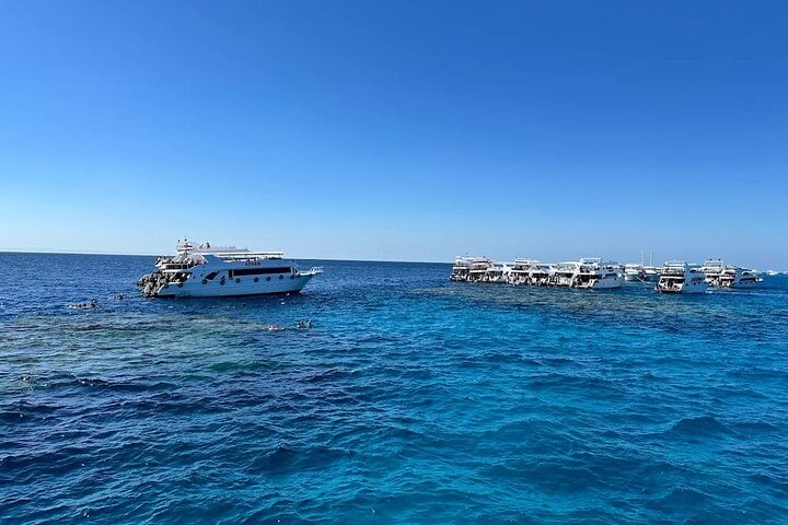 Ras Mohamed and White Island Snorkelling Trip from Sharm El Sheikh, photo 2