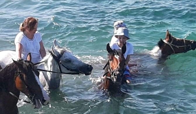 Horse Riding on Desert and Beach in Hurghada, photo 5