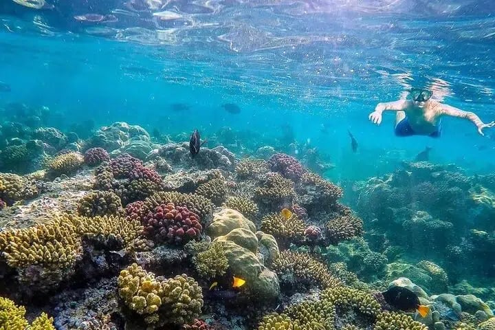 Eden Island Full Day Boat Trip with Lunch from Hurghada, photo 4