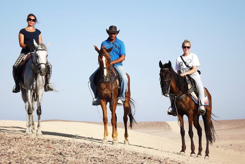 Horse Riding with Transfer in Hurghada, photo 3