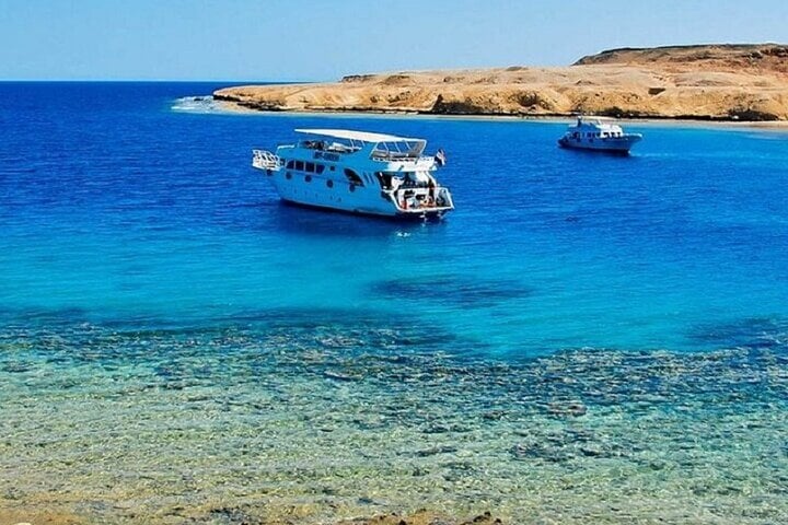 Ras Mohammed & White Island Snorkeling Trip in Sharm El Sheikh, photo 5
