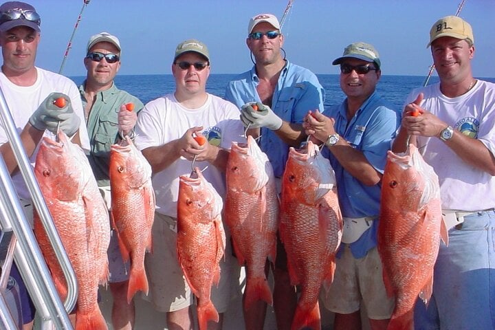 Fishing and Snorkel Speedboat in Hurghada, photo 2