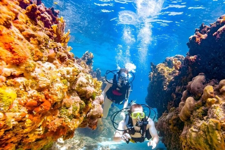 Coral Gardens Snorkel and Dive in Marsa Alam, photo 2