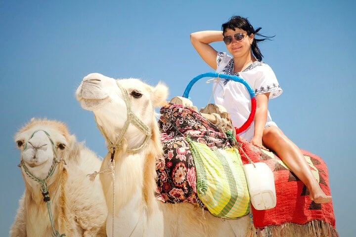 Buggy Camel Dinner and Show in Hurghada, photo 5