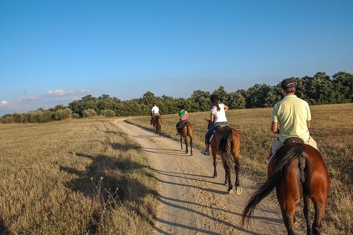 Horse Riding Tour in Murgia Park Matera, photo 3