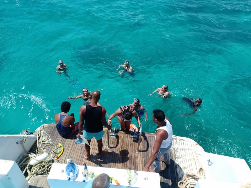 Dolphin House Snorkelling Boat Trip in Hurghada, photo 2