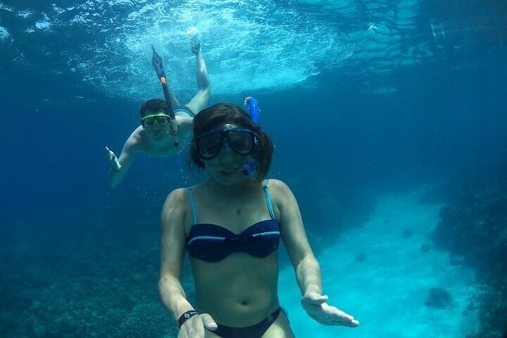 Private Speedboat Snorkel in Marsa Alam, photo 4