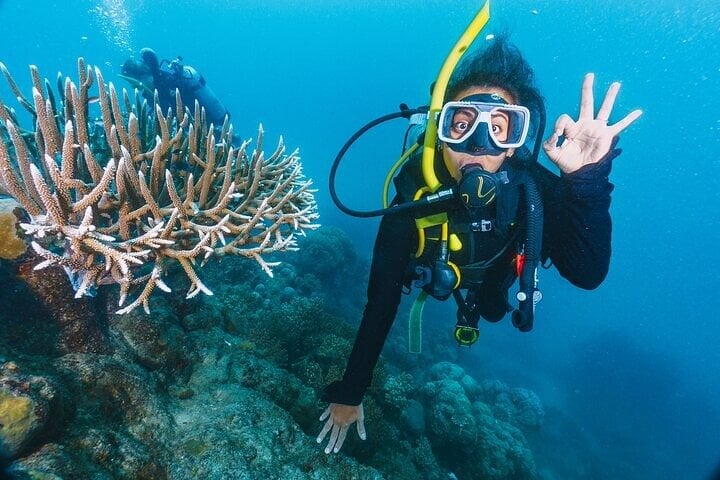 PADI Open Water in Marsa Alam, photo 4