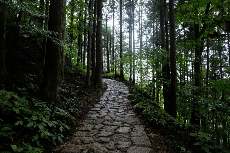 Nakasendo Trail Day Hike from Nagoya, photo 5