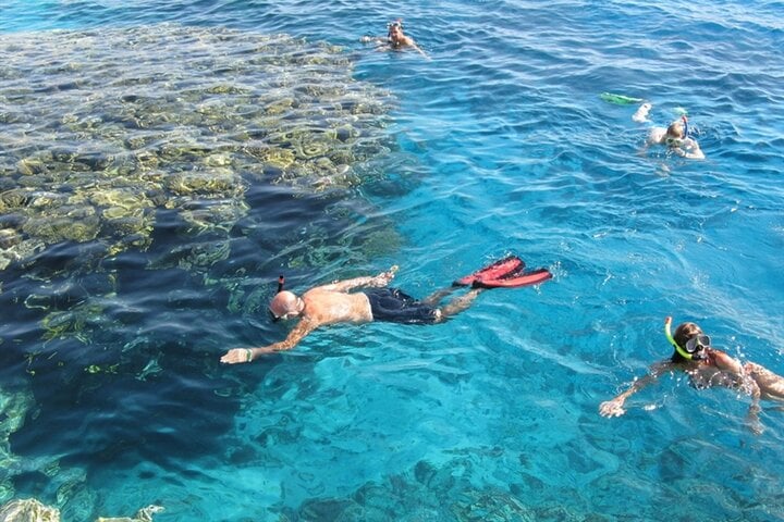Ras Mohamed Snorkel and Dive in Sharm El Sheikh, photo 2
