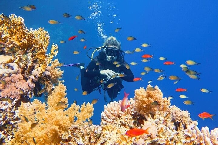 Beginner Scuba Day with Lunch in Sharm El Sheikh, photo 4