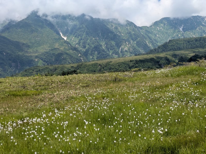 Tateyama Alpine Hikes and Shomyo Falls, photo 5