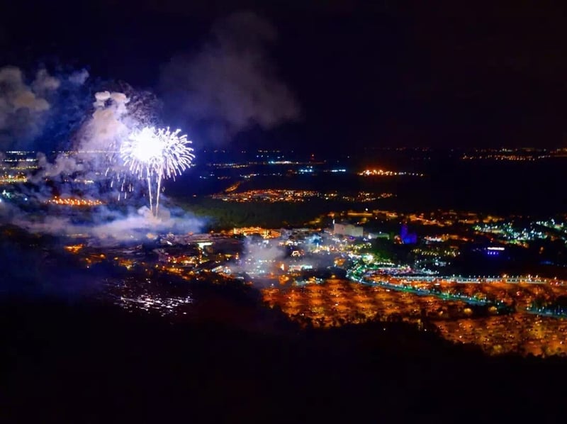 Private Fireworks Theme Parks Helicopter Tour – 77 Miles, photo 2