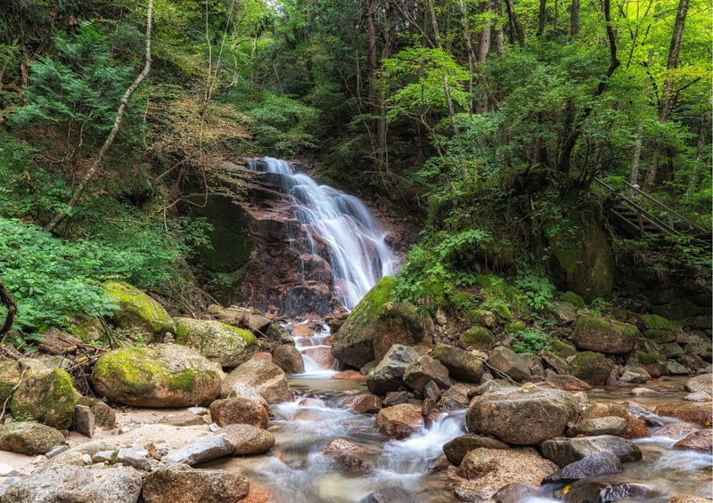Private Nakasendo Trail and Post Towns Hike, photo 2