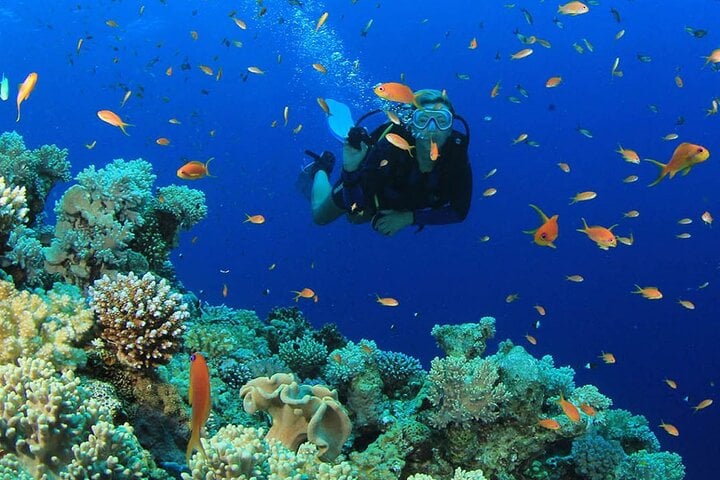 Scuba Diving Adventure in Alanya, photo 3