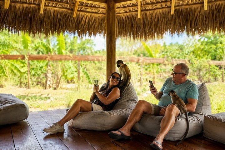 Monkey Sanctuary and Horseback Ride in Punta Cana, photo 4