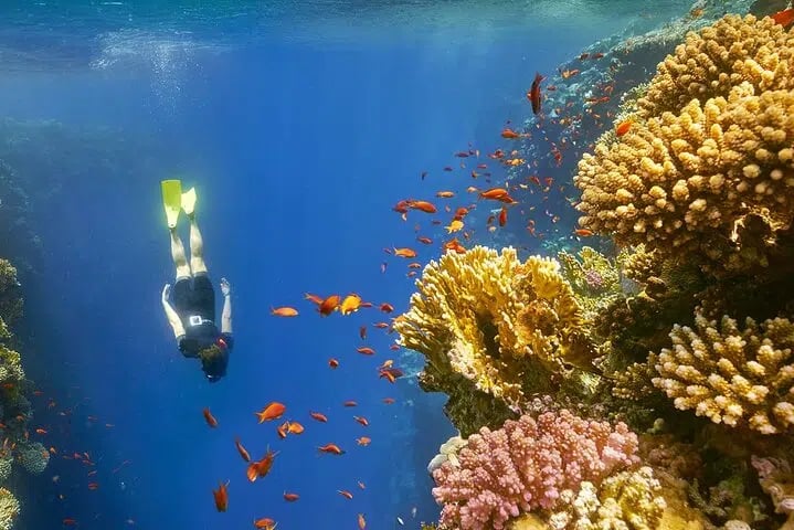 Dahab and Canyon Day Tour from Sharm El Sheikh with Quad Biking & Snorkelling, photo 2