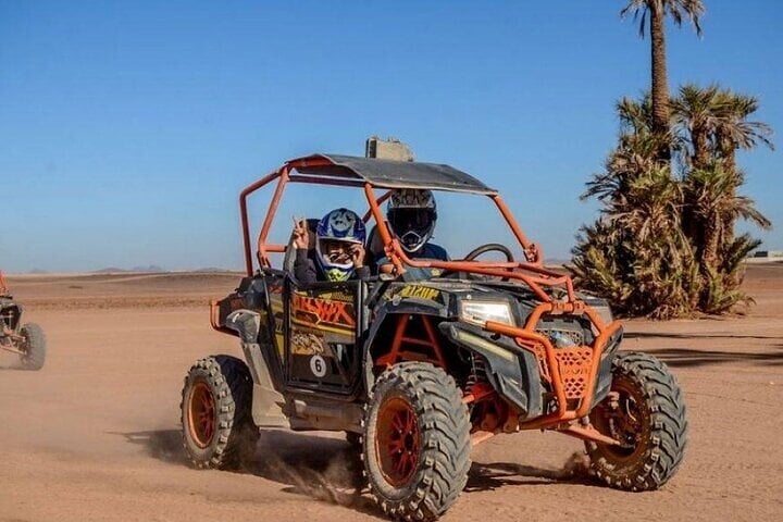 Buggy Safari in the Palmeraie, photo 5