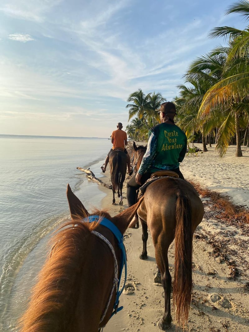 Beach Horseback Ride with Swim Stop in Placencia, photo 2
