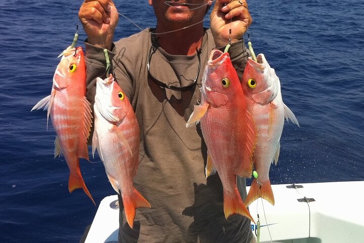 Fishing and Snorkel Speedboat in Hurghada, photo 3