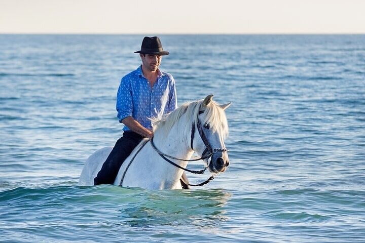 Sun and Sea Horse Ride in Hurghada, photo 3