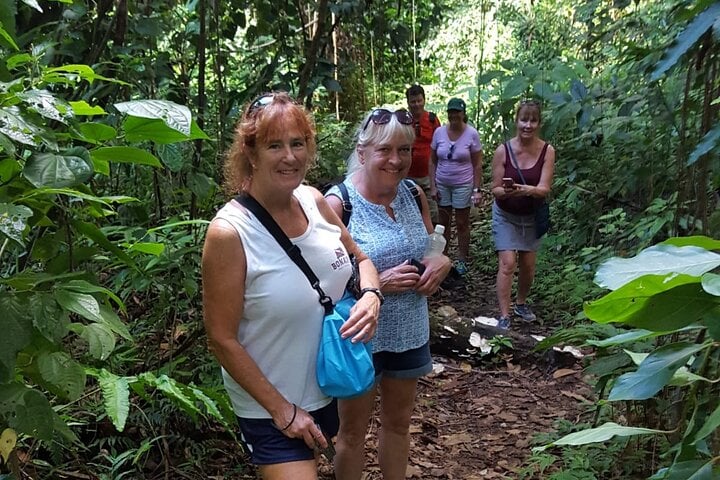 Wingfield Rainforest Hike in St Kitts, photo 3
