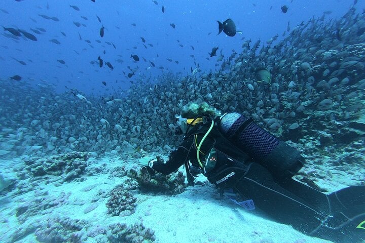 Scuba Diving Adventure in Dubai, photo 5