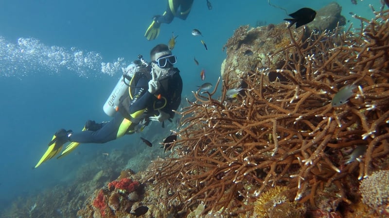 Red Sea Diving Trip for Certified Divers from Hurghada, photo 3