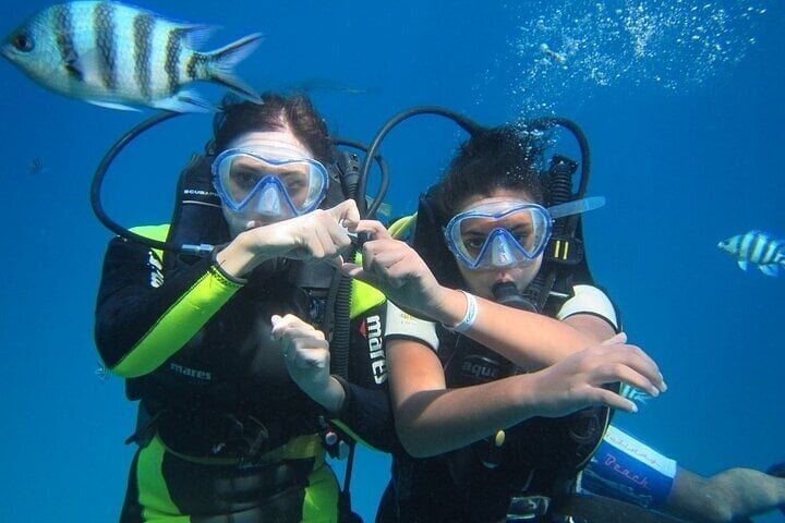 Coral Gardens Snorkel and Dive in Marsa Alam, photo 4