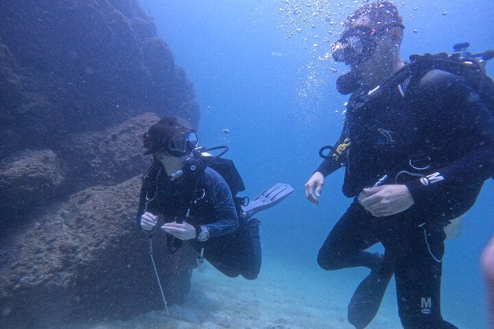 Full Day: Three Certified Dives in Dibba Musandam, Oman, photo 4