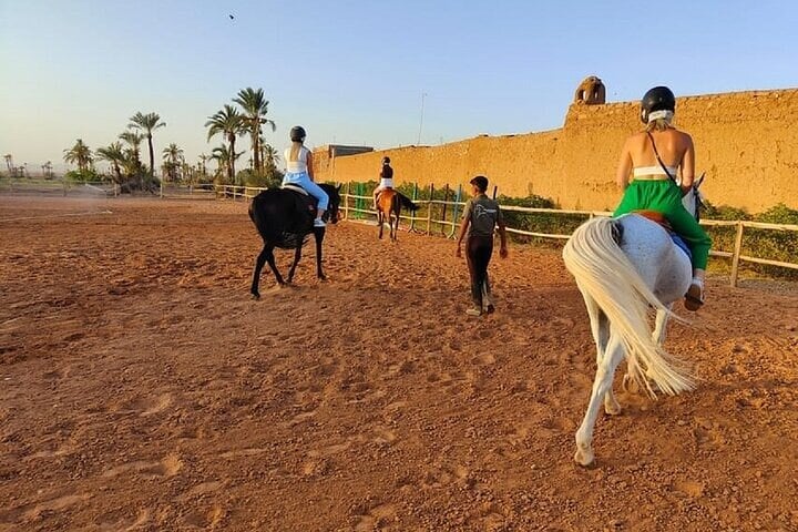Two Hour Horse Ride in the Palmeraie, photo 5