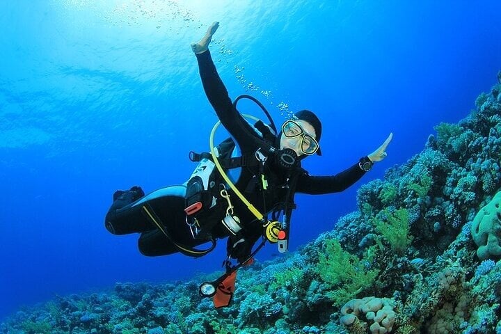 Beginner Scuba Day with Lunch in Sharm El Sheikh, photo 3