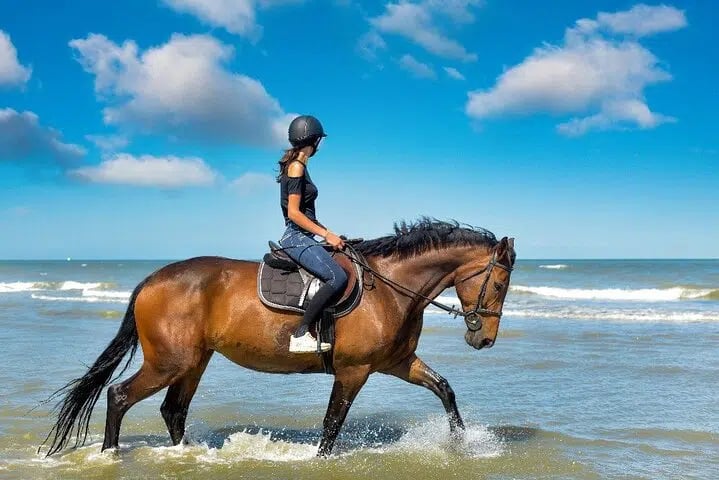 Beach Horse Riding in Hurghada – 1 or 2 Hours with Swimming Option, photo 2