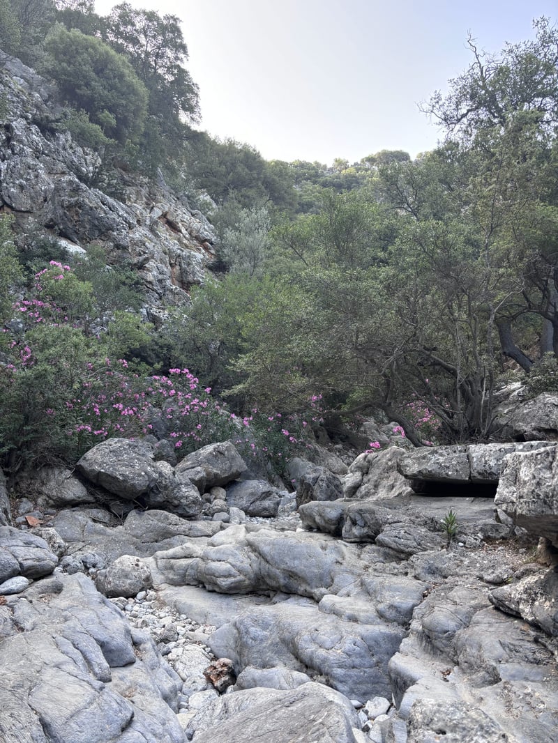 Kritsa Gorge Hiking Tour in Agios Nikolaos, photo 3
