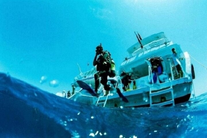 Beginner Scuba Boat Trip in Marsa Alam, photo 5