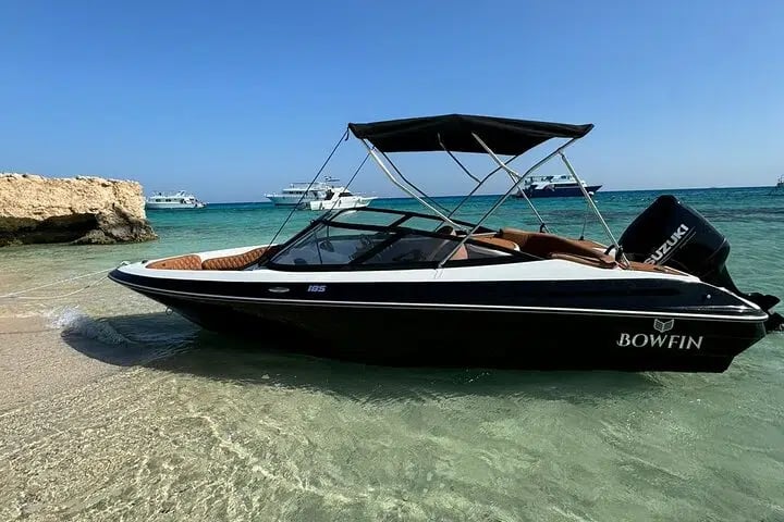 Private Speedboat Dolphin Watching and Snorkeling in Hurghada, photo 4