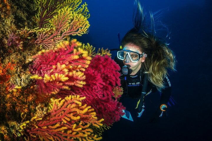 Discover Scuba Dive in Dubai, photo 3