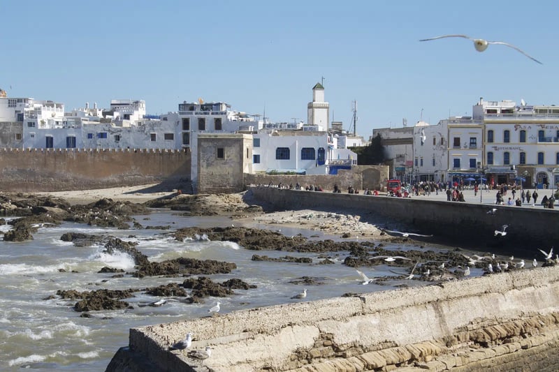 2-Day Surf Experience in Essaouira, photo 5