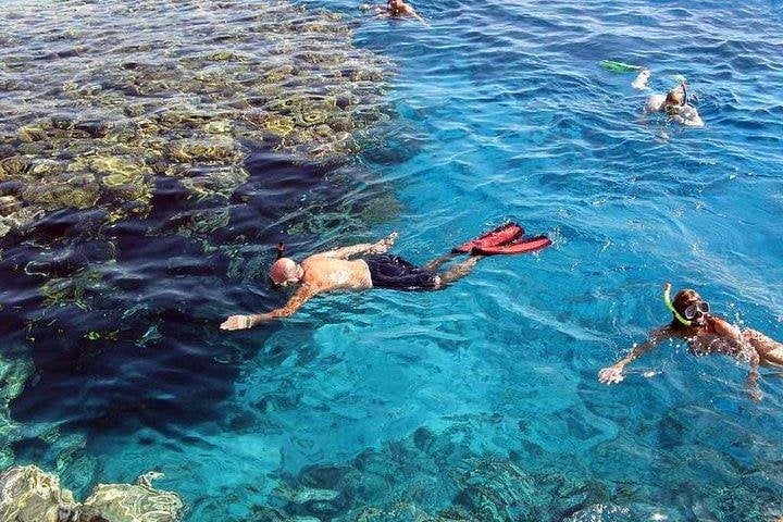 Marsa Mubarak Snorkel in Marsa Alam, photo 2