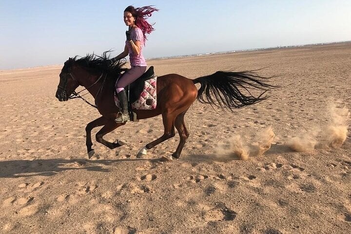 Desert Horse Riding in Marsa Alam, photo 2