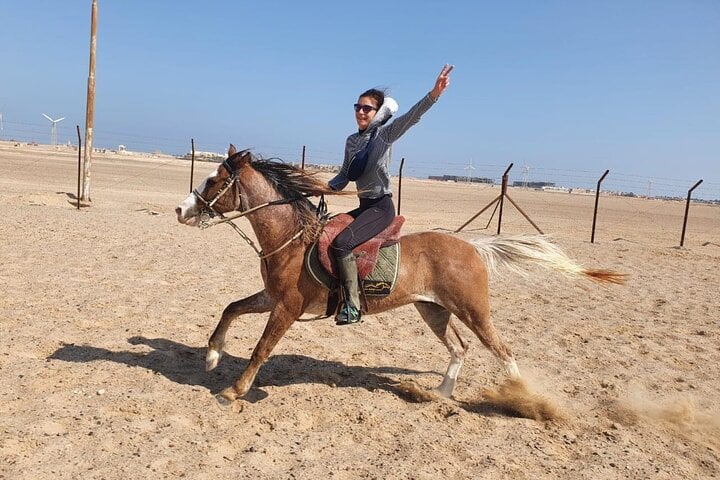 Desert Horse Riding in Marsa Alam, photo 4