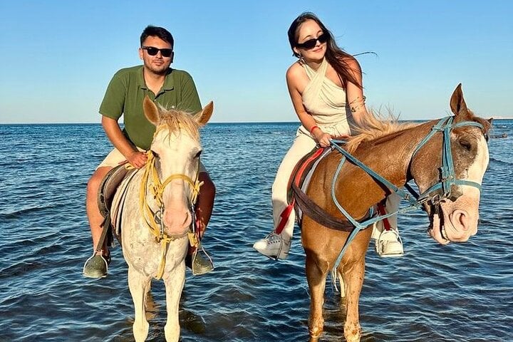 Desert and Sea Horse Ride in Soma Bay, photo 4