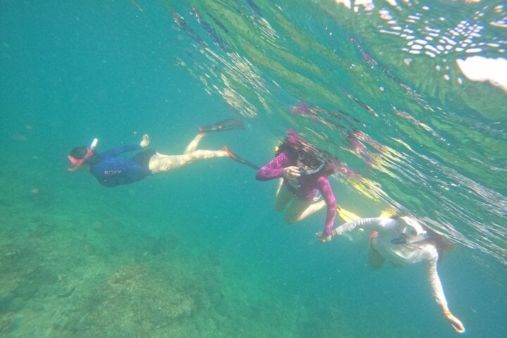 Full Day Snorkelling around Dibba Musandam, photo 2