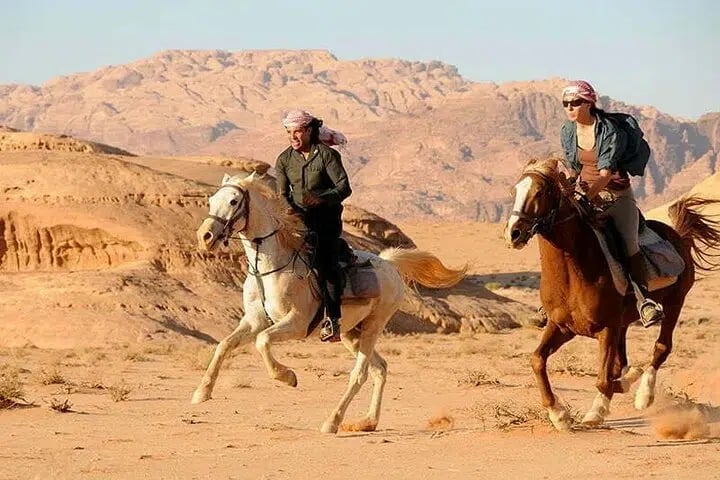 Beach Horse Riding in Hurghada – 1 or 2 Hours with Swimming Option, photo 5