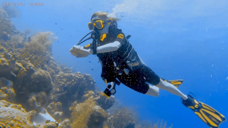 PADI Open Water Diver Course with E-Learning in Bonaire, photo 2