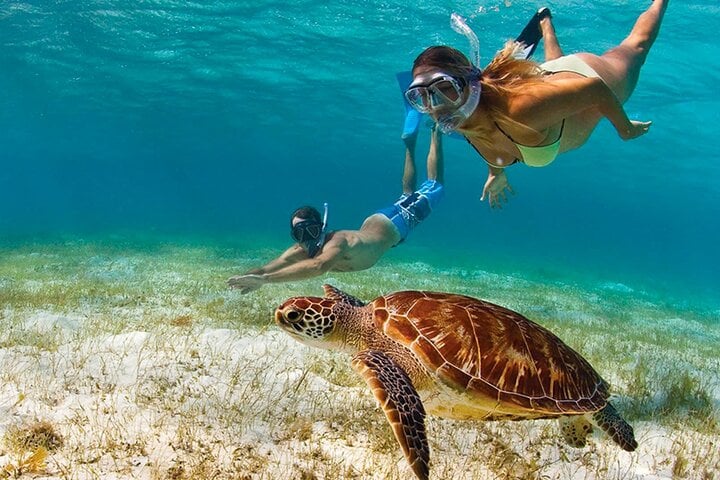 Snorkelling Boat Trip in Montego Bay, photo 4