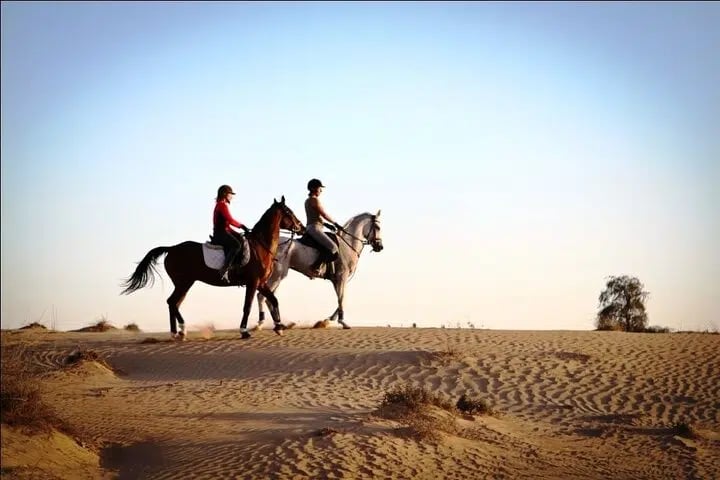 Beach Horse Riding in Hurghada – 1 or 2 Hours with Swimming Option, photo 3